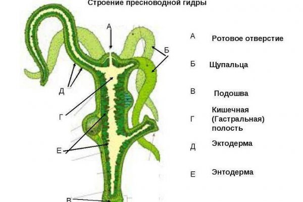 Кракен ссылка pw