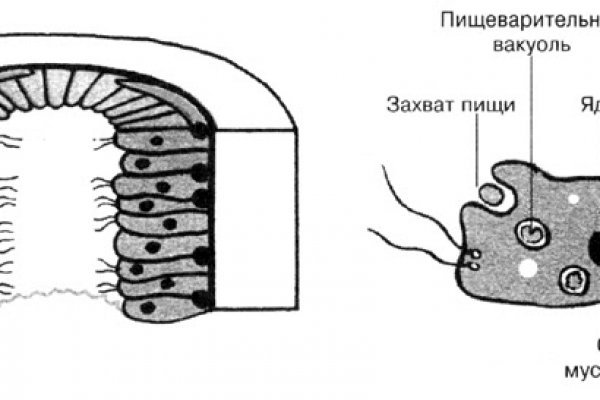 Что продают в кракен маркете