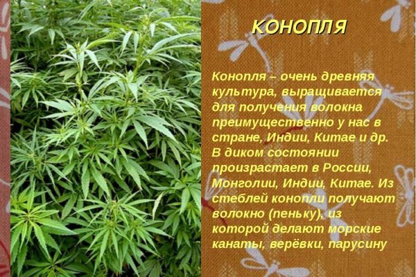 Кракен онион ссылки