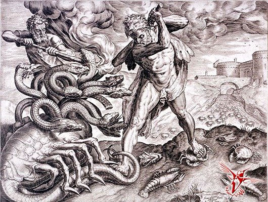 Kraken russia