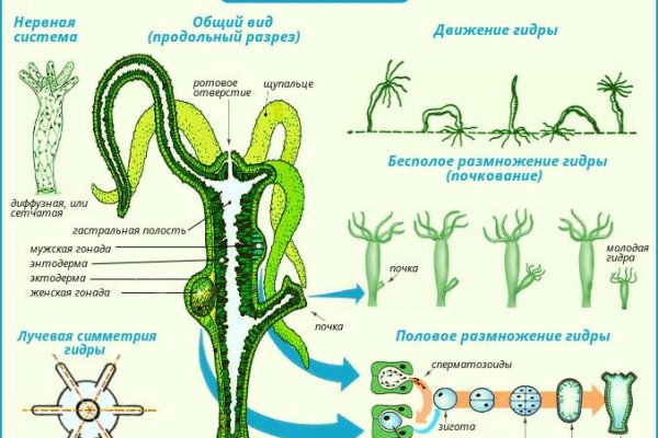 Через какой браузер заходить на кракен