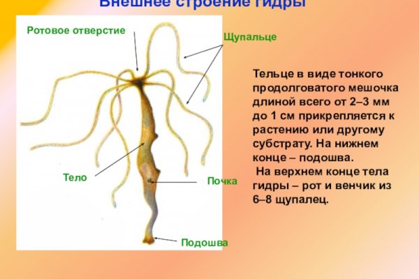 Кракен маркетплейс тор