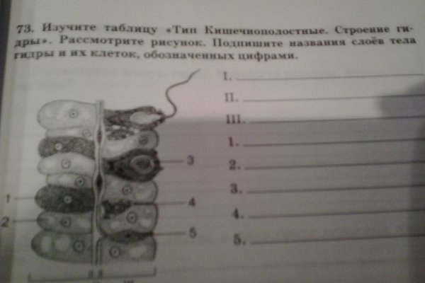 Рабочая ссылка на кракен