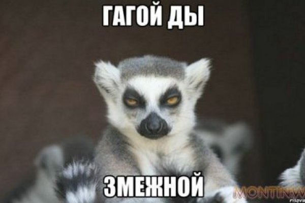Кракен даркнет только через