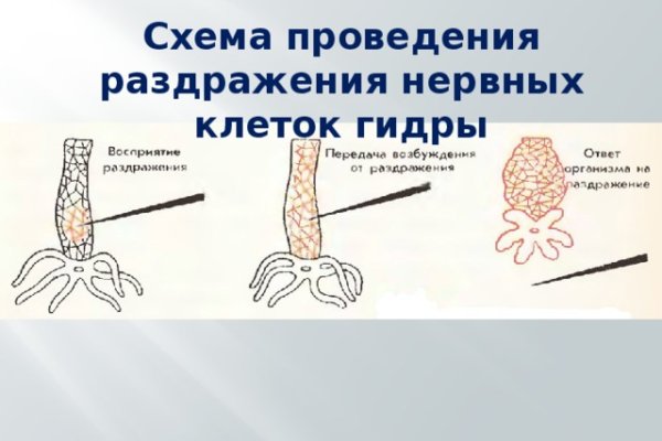 Нарко маркетплейс
