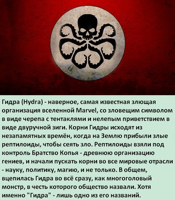 Kraken ссылка kraken torion