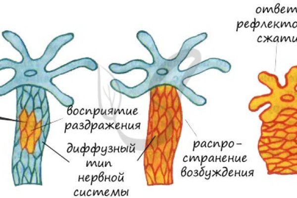 Ссылка на кракен