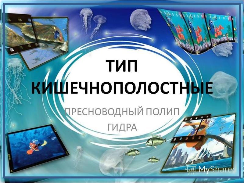Kraken ссылка актуальная москва